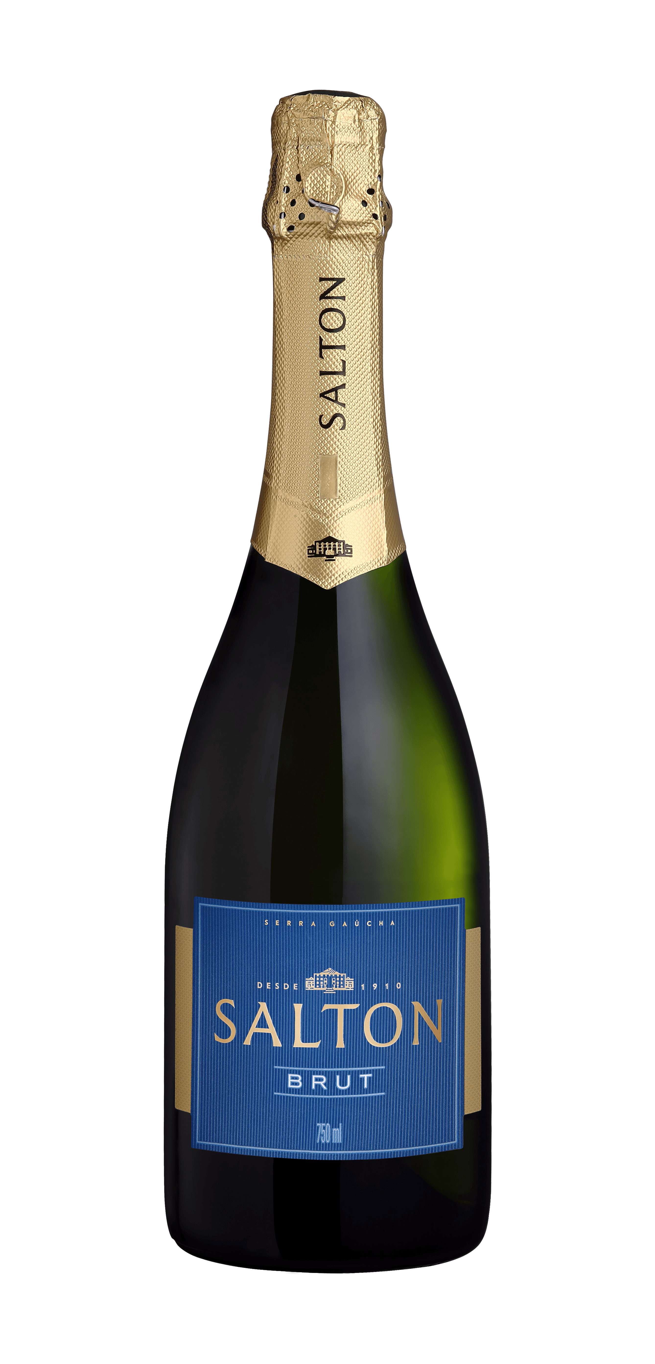 Salton Classic Brut Espumante